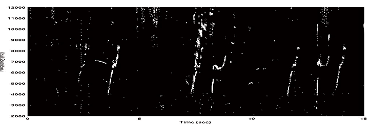 Graph of detection spectrogram of whistles