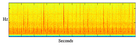 Spectrogram: whale clicks