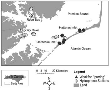 b. map of spawning species: weakfish "purring"