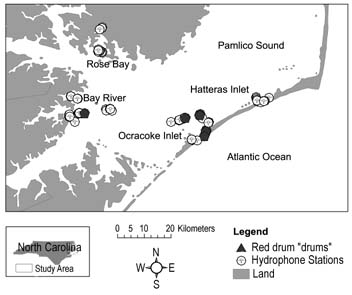 d. map of spawning species: red drum "drums"