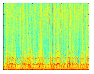 Spectrogram of a series of toadfish calls