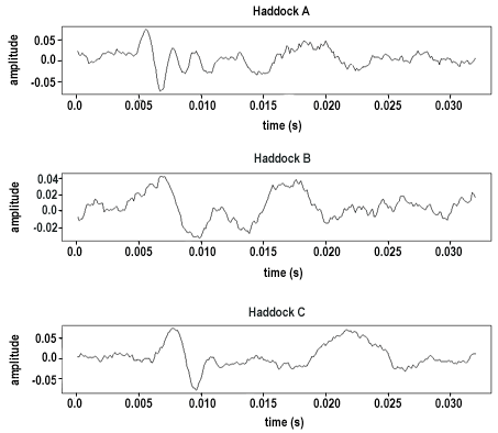 Three graphs of different waveforms of 3 male haddock