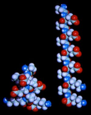 EAK12_alpha_&_beta.jpg (14423 bytes)