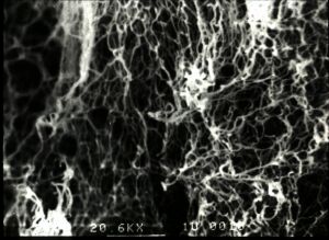 EAK16_peptide_Fibers.jpg (19405 bytes)