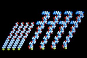 EG=Type_III_SFpeptides.jpg (11796 bytes)