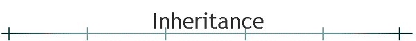 Inheritance