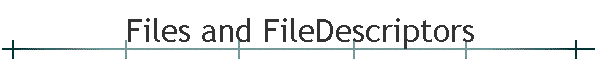 Files and FileDescriptors