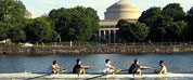 students dining in sunlight