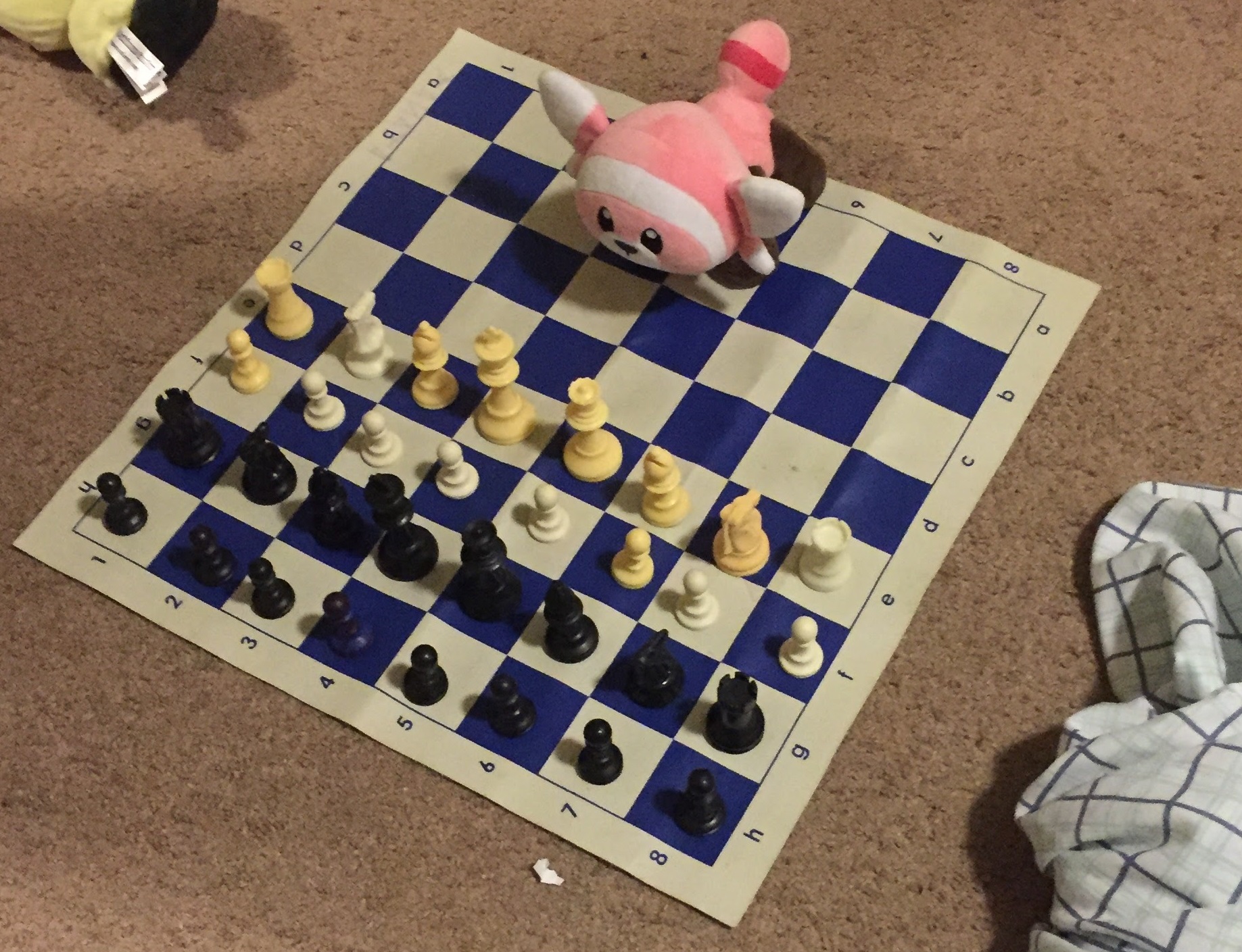 A stuffed animal facing off against 4 rows of chess pieces