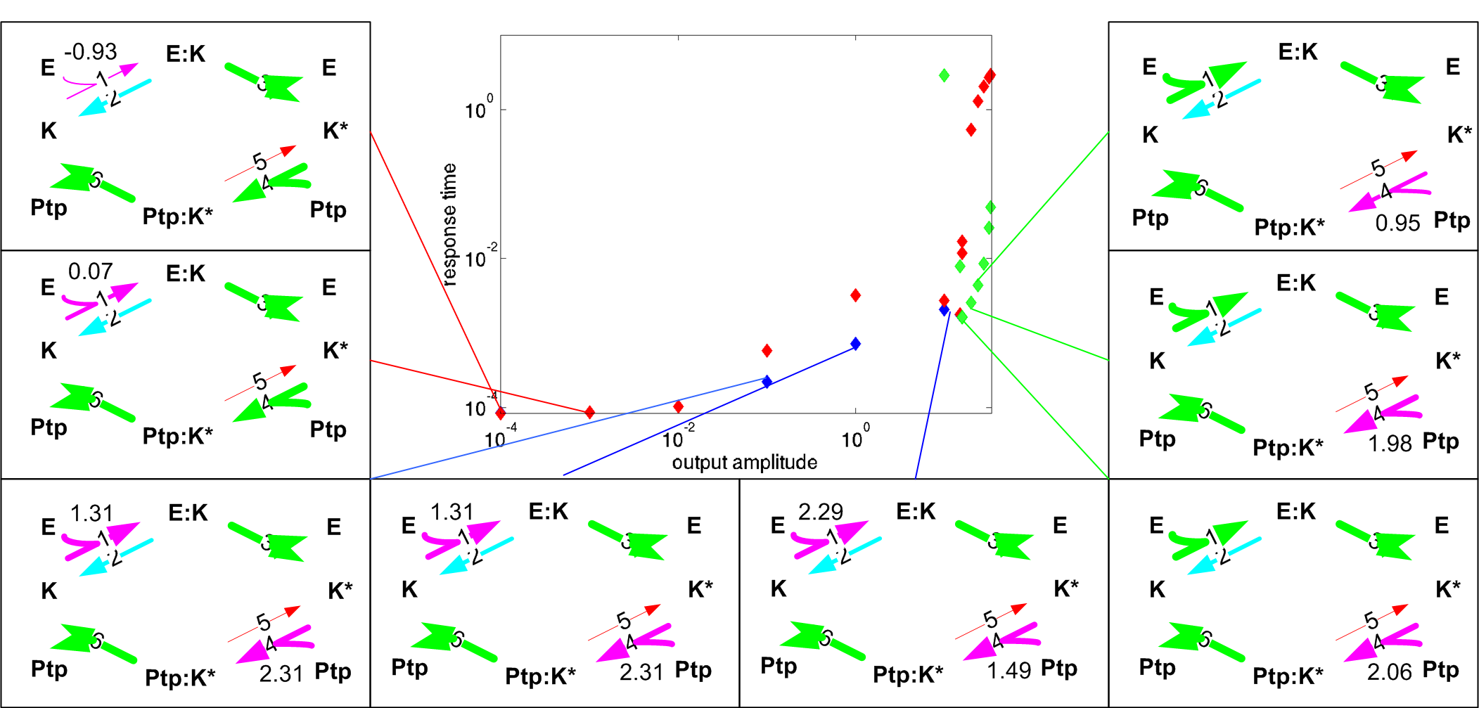 Pareto-set of network optimization reveals multiple strategies.