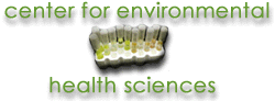 center for environmental health sciences