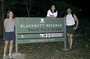 blackbutt reserve