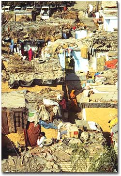 Photo, India Slum Roofs