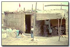 Photo: Lima Peru squatters