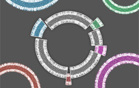 Genome-scale design