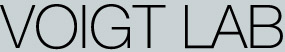 Voigt Lab