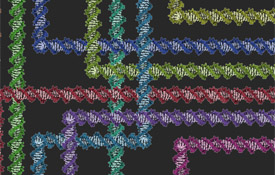 Programming language for cells