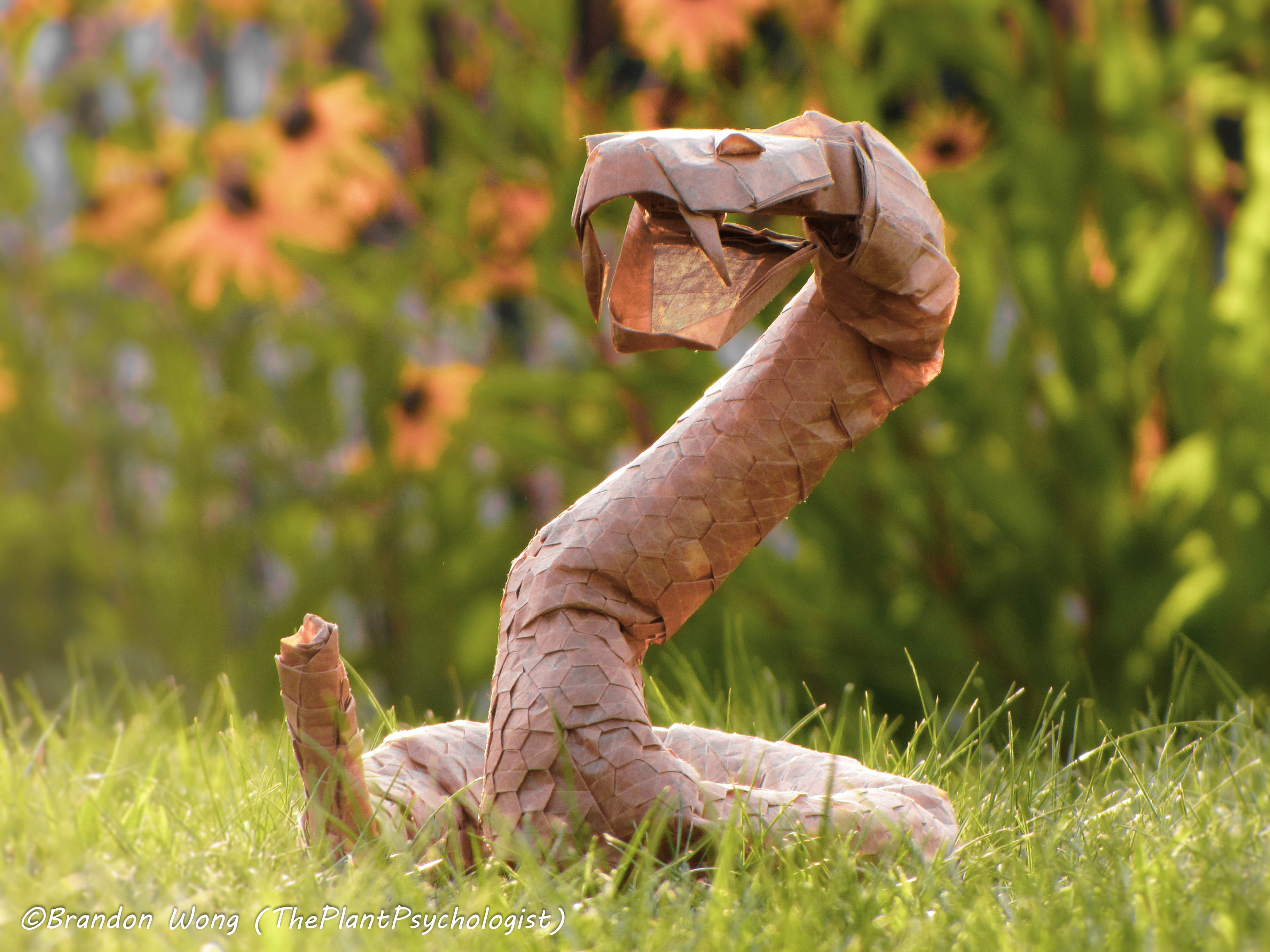 roen×semantic design snake pattern roen×semantic design snake pattern roen×semantic design