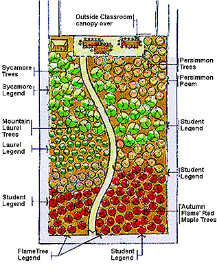 layout of nursery