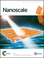 Nanoscale_2018_v2