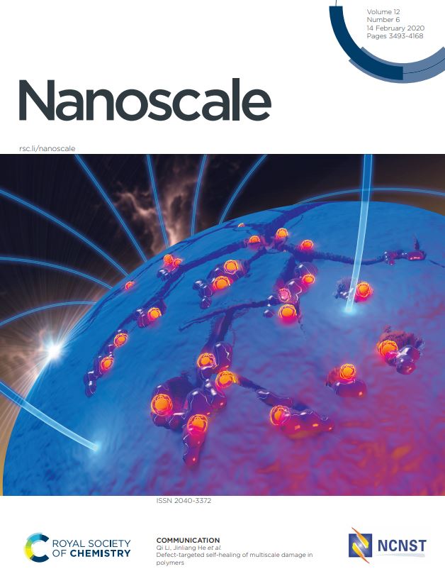 Nanoscale_2020