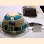 R2D2 dome by Sarah & Kathy