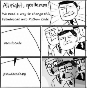 a python meme
