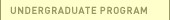 Undergraduate Program