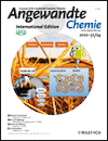 Angewandte Chemie International Edition 49 (31)