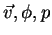 $\vec{v}, \phi, p$