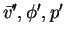 $\vec{v}', \phi', p'$