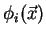 $\phi _i (\vec{x})$