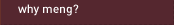 Why MEng?