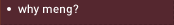 Why MEng?