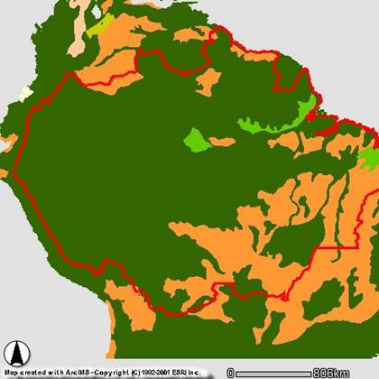 Project Amazonia Threats Agriculture And Cattle Ranching