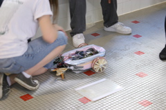IMG_5533