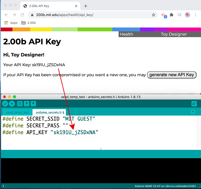 copy and paste api key