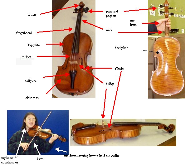 violin-1.jpg (56601 bytes)
