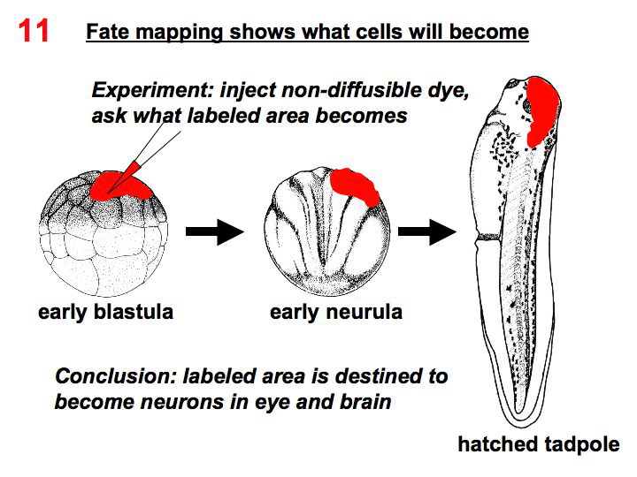 slide16.jpg