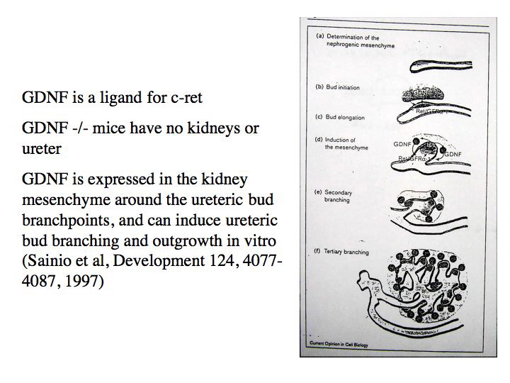 slide12.jpg