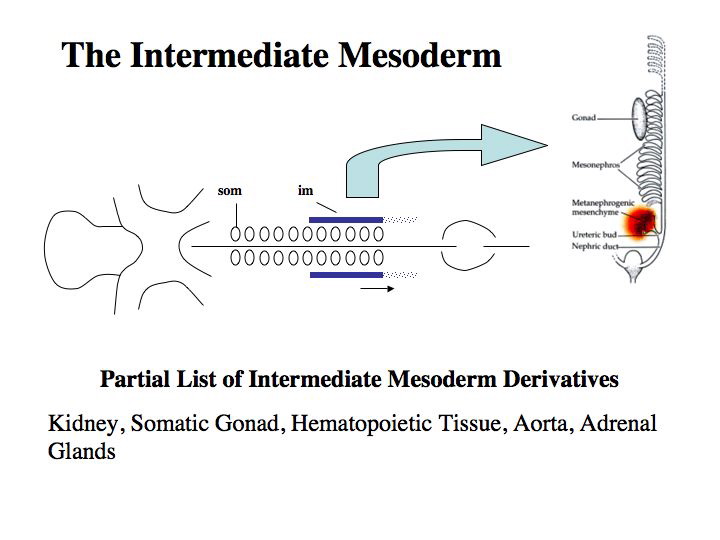 slide16.jpg