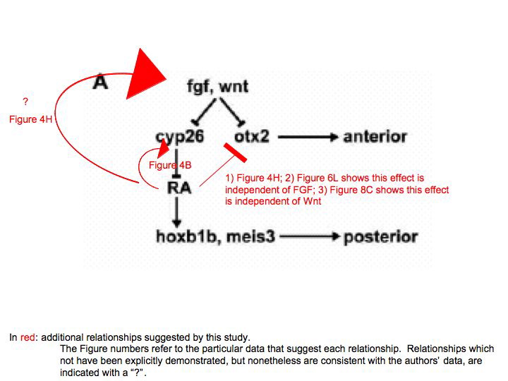 slide29.jpg