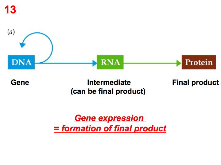 slide19.jpg