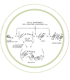 protein folding