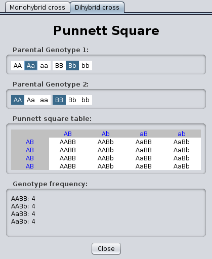Punnett Square Tool - dihybrid