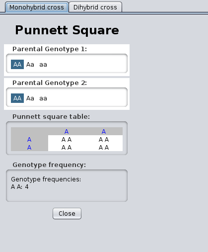 Punnett Square tool - Monohybrid