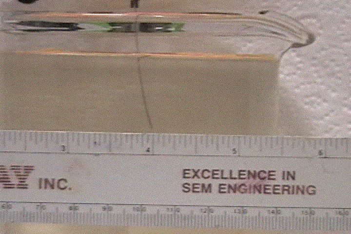 Video of polymer actuating in water