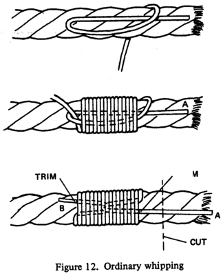Ordinary Whipping