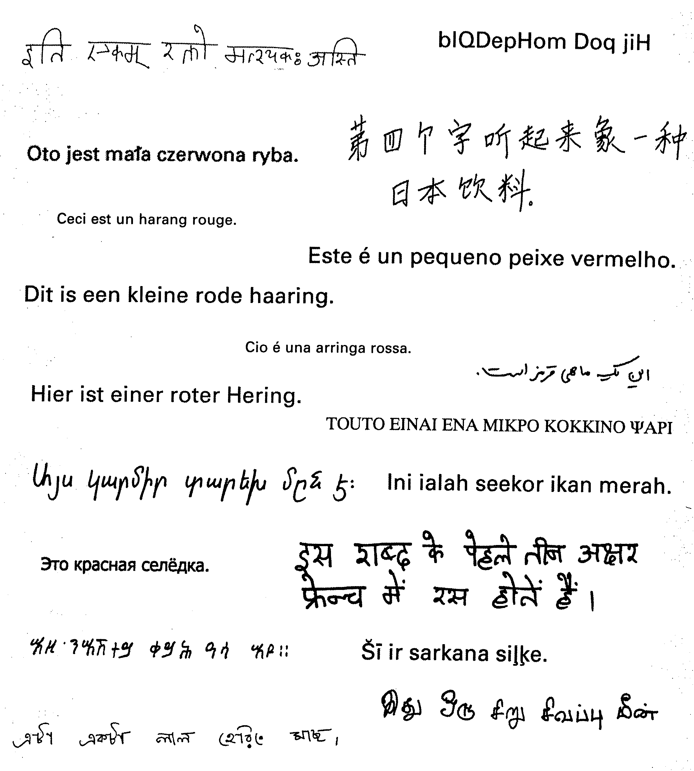 Text in various languages