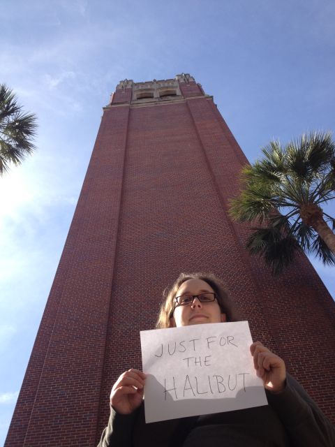 Just for the Halibut in Gainesville, Florida